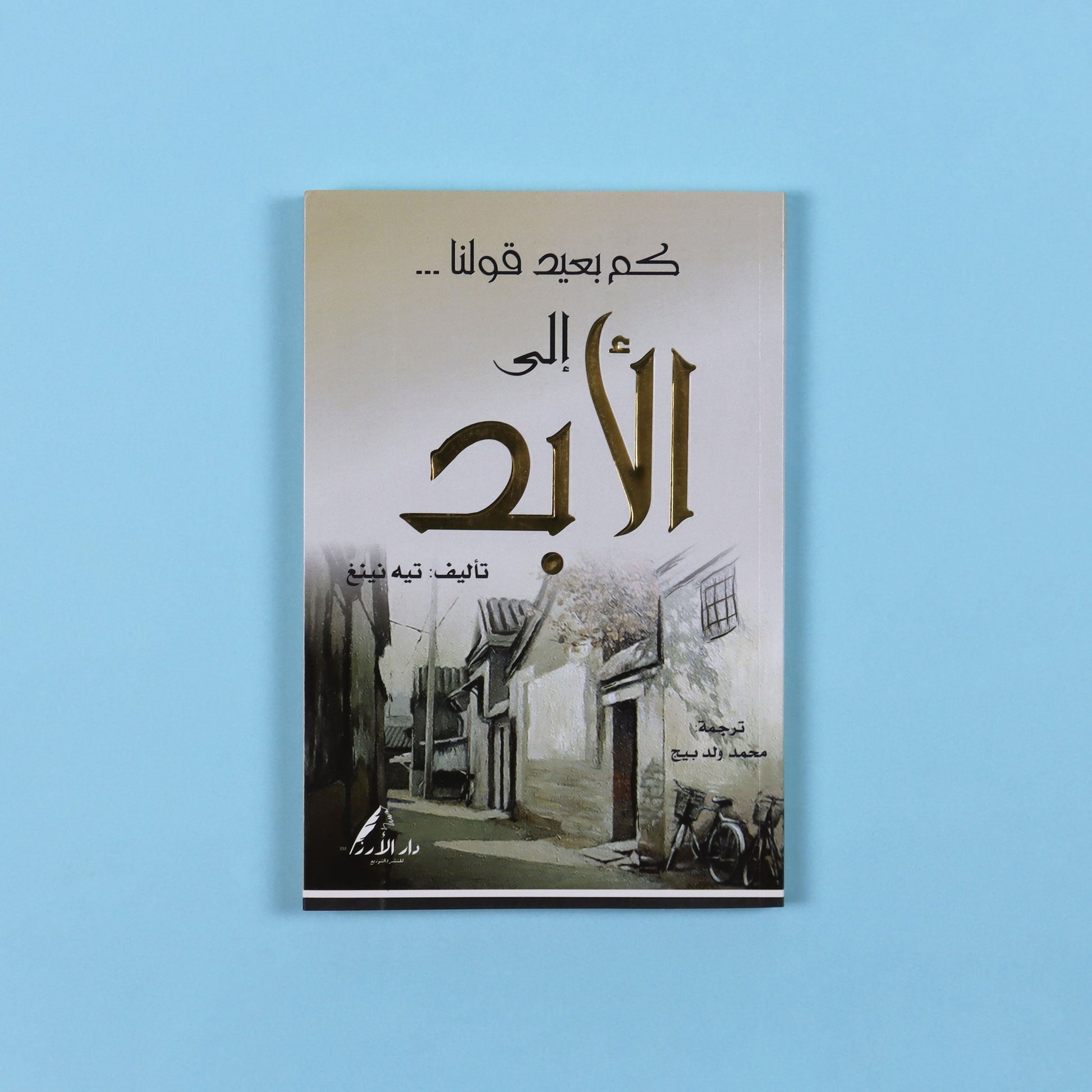 رواية كم بعيد قولنا إلى الأبد، عمل أدبي صيني حائز على جوائز، يقدّم تجربة إنسانية عميقة عن الحنين والذاكرة والتحوّلات الاجتماعية 