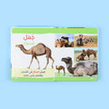 كتاب الحيوانات باللمس تُظهر ملمس فرو حيوان
