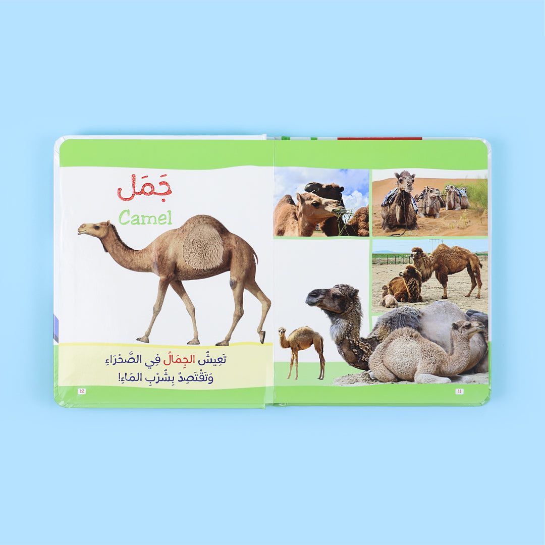 كتاب الحيوانات باللمس تُظهر ملمس فرو حيوان
